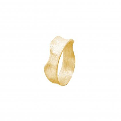 EUPH Y RIN AG G (1)