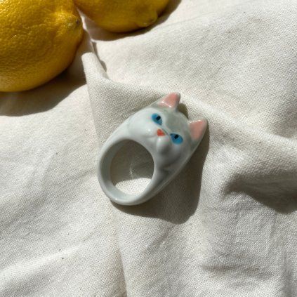 Ring Grey cat