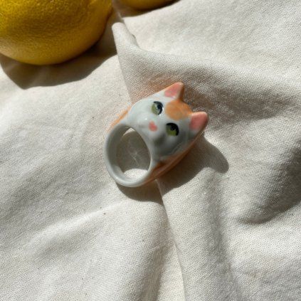 Ring Orange cat