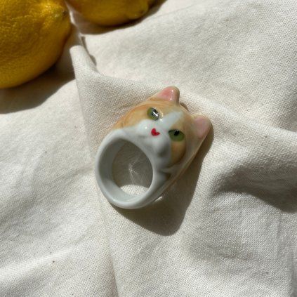 Ring Brown cat