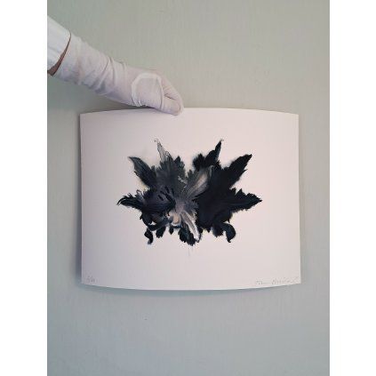 dvojlilie print 2000