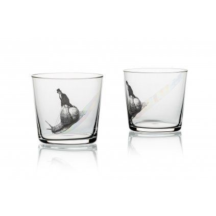 Rainbow rider glass