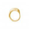 EUPH LASKA RIN AG G (1)