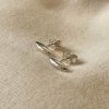 Earrings Seed