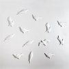 Birds 3D Wallpaper White