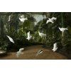 Birds 3D Wallpaper White